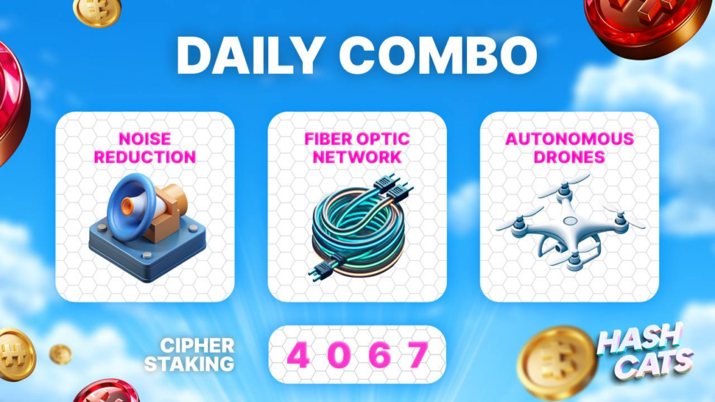 HashCats Daily Combo & Cipher Staking 24 November 2024