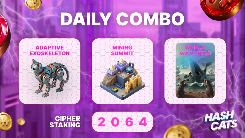 HashCats Daily Combo & Cipher Staking 2 December 2024