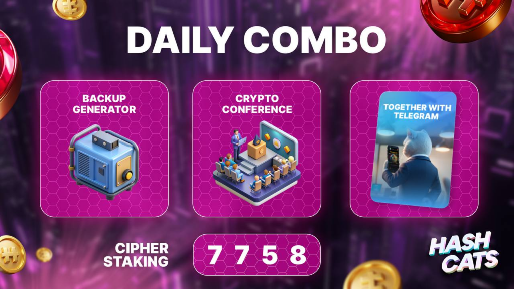 HashCats Daily Combo & Cipher Staking 8 December 2024