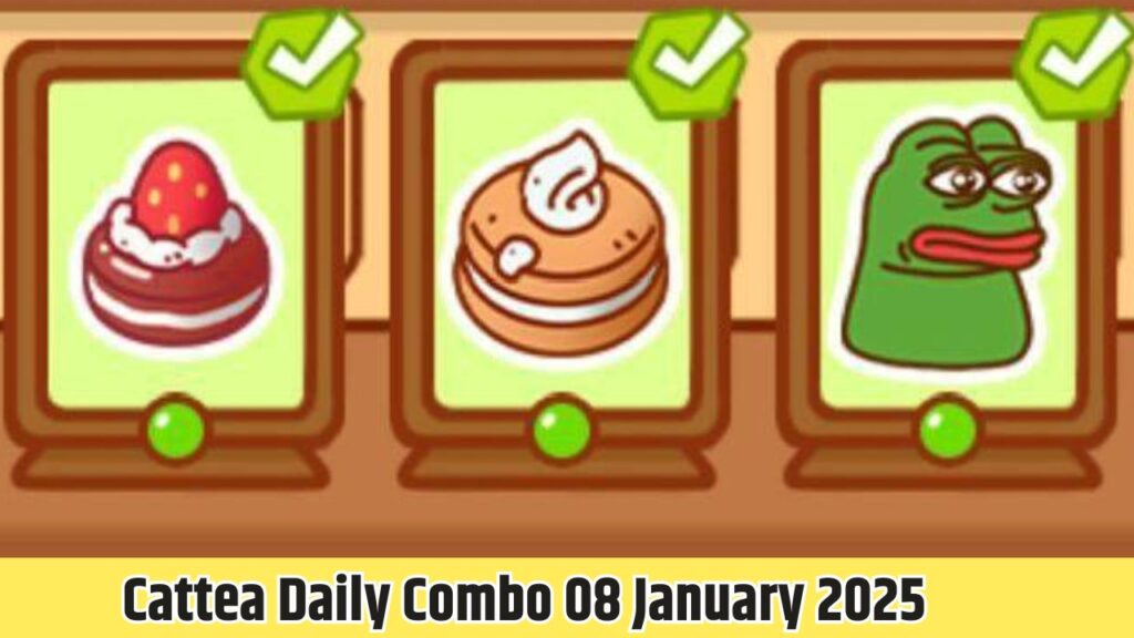 Cattea Daily Combo 8 January 2025